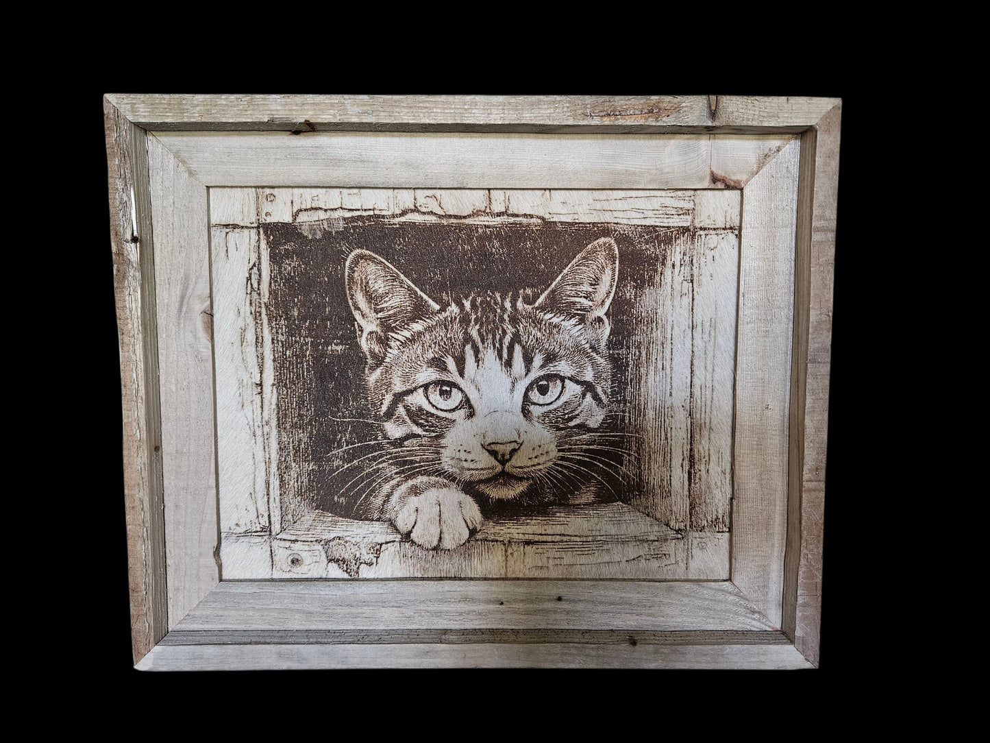 Peekaboo Kitty 16"x 13" #558