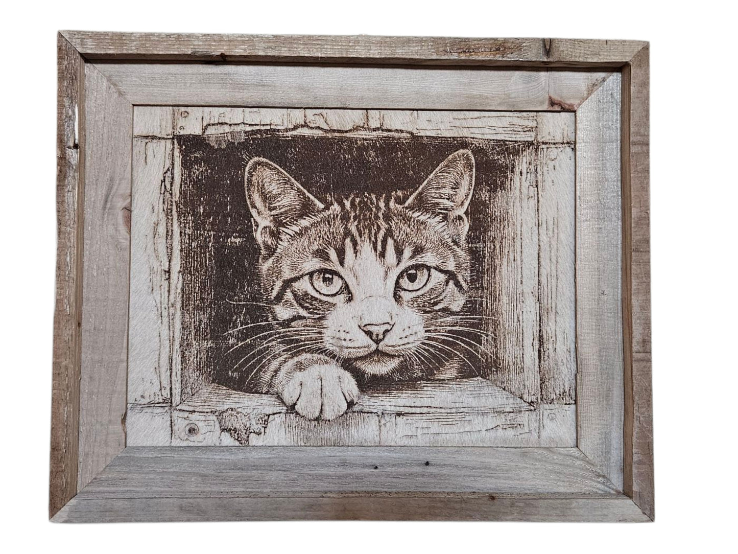 Peekaboo Kitty 16"x 13" #558