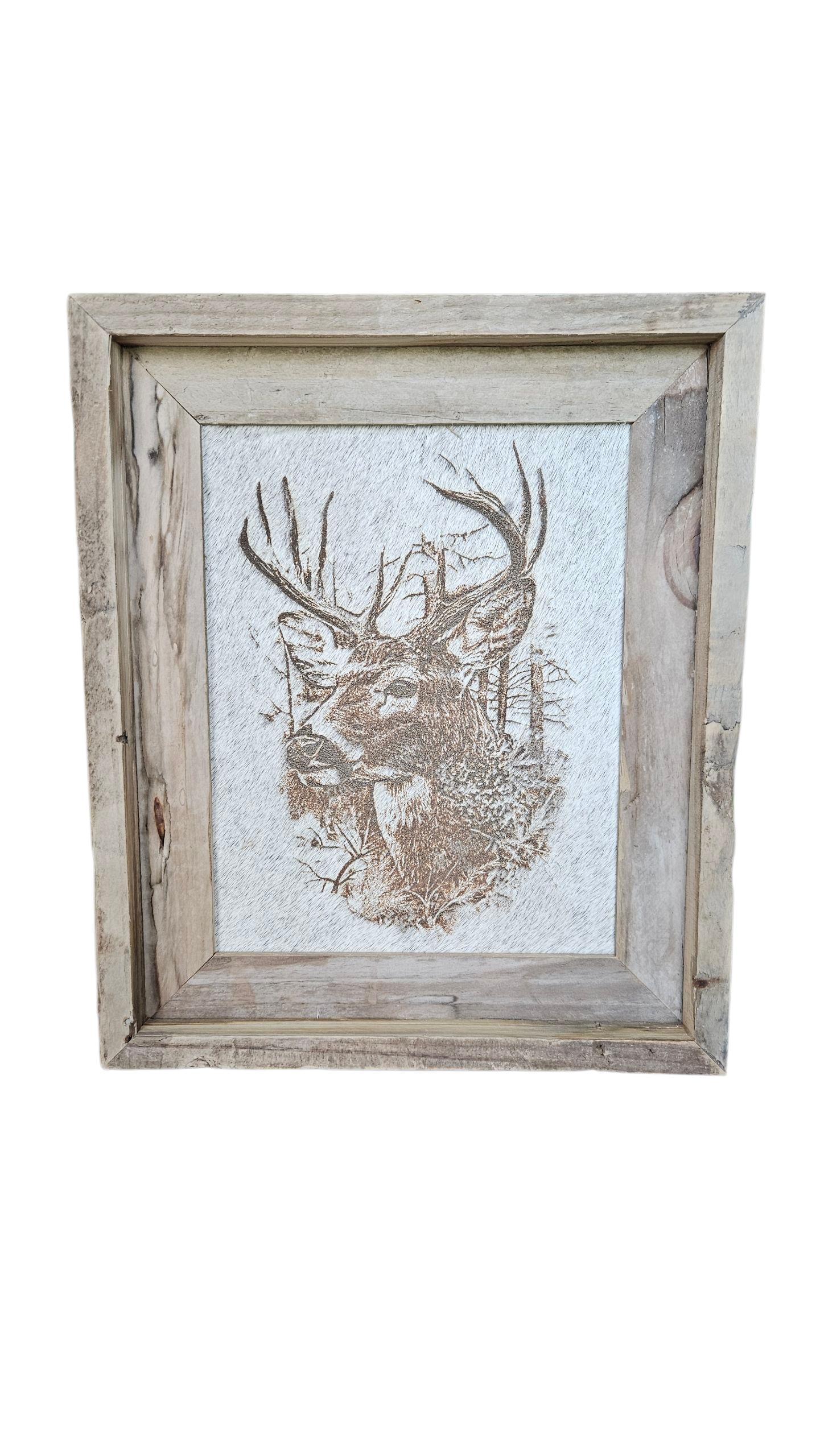 Etched Deer on Cowhide 13"x 11" #553