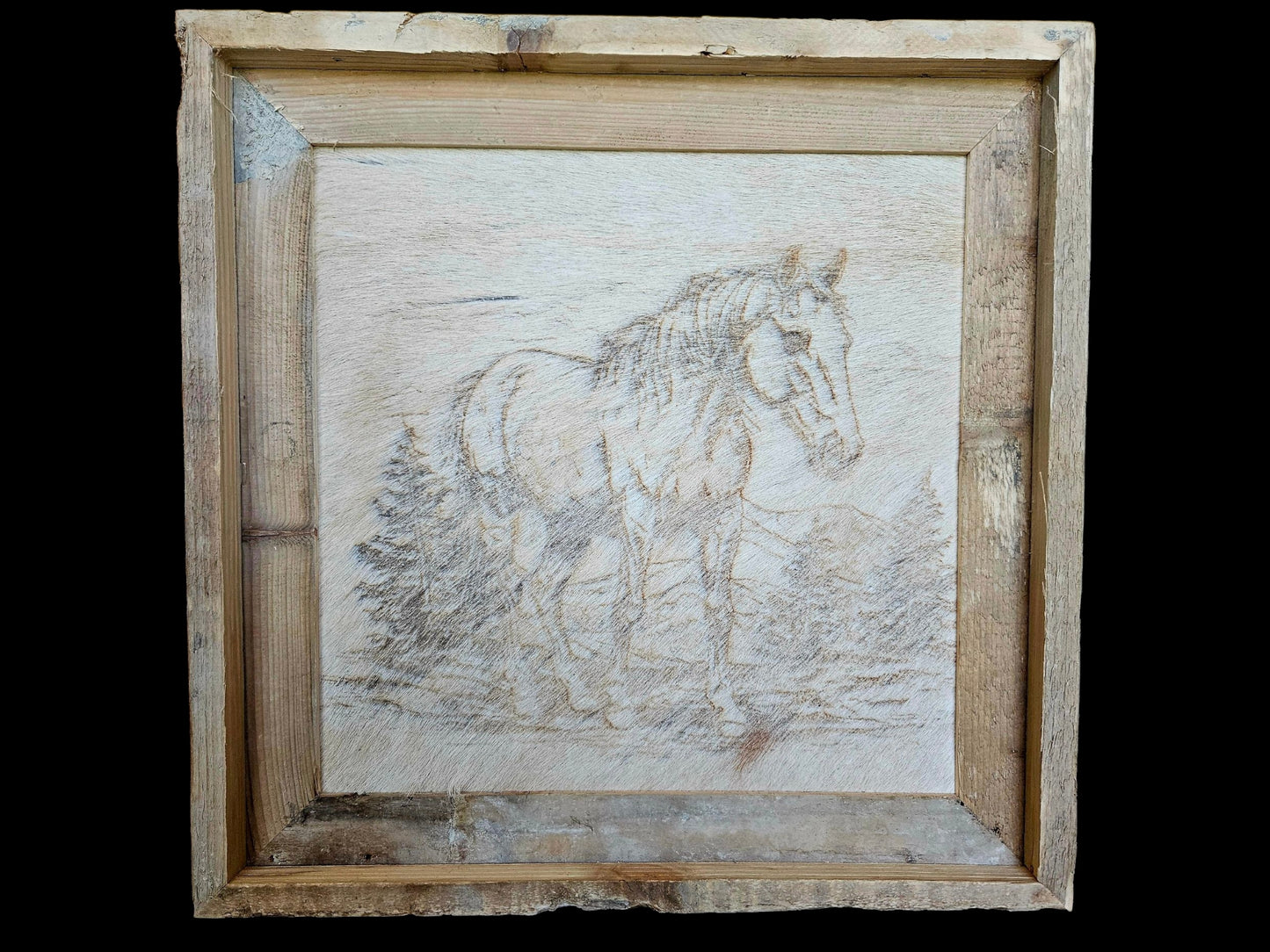 Horse in the Wildlife 15"x 15" #569