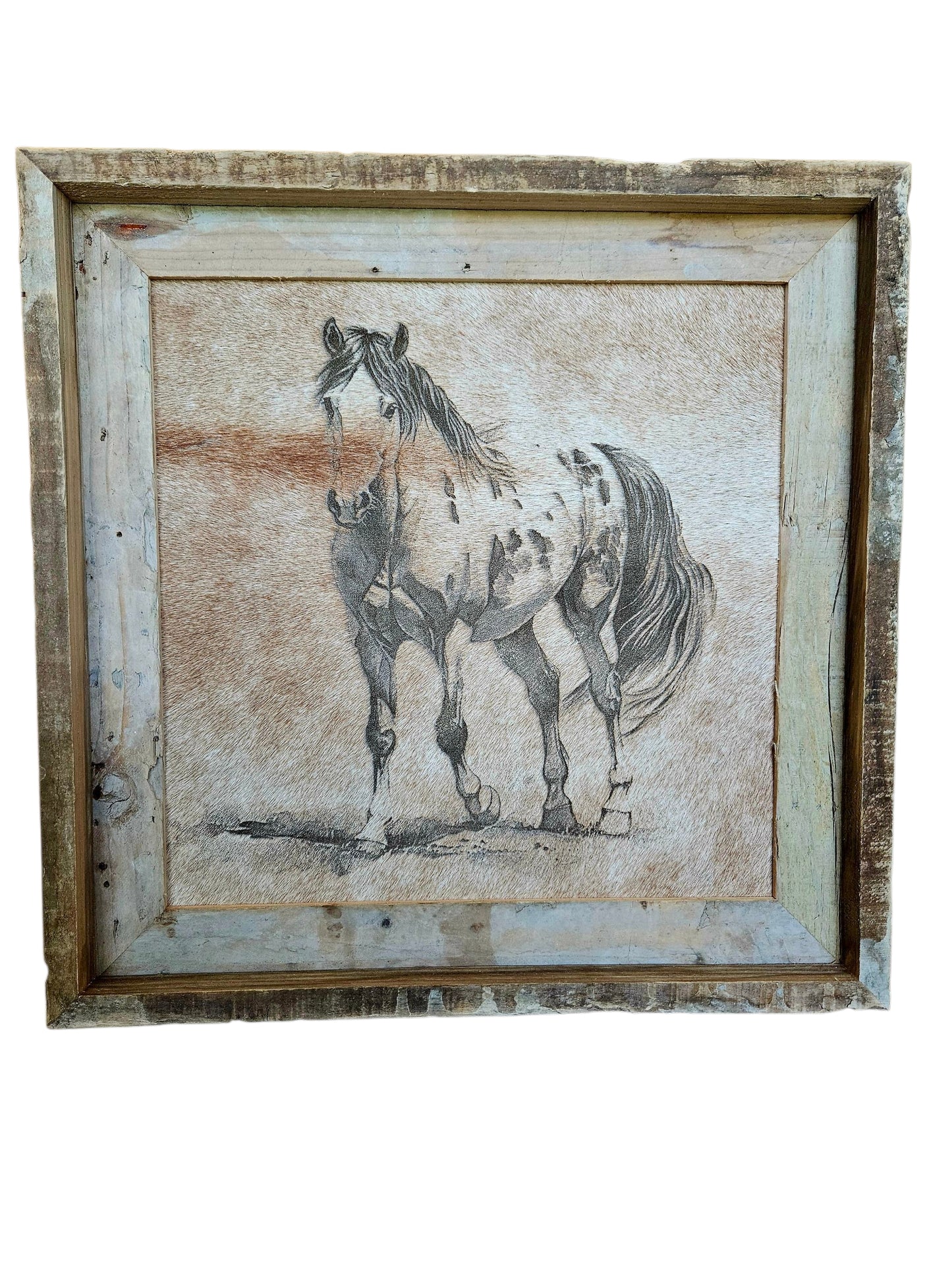 Midnight Mane 15"x 15' #561