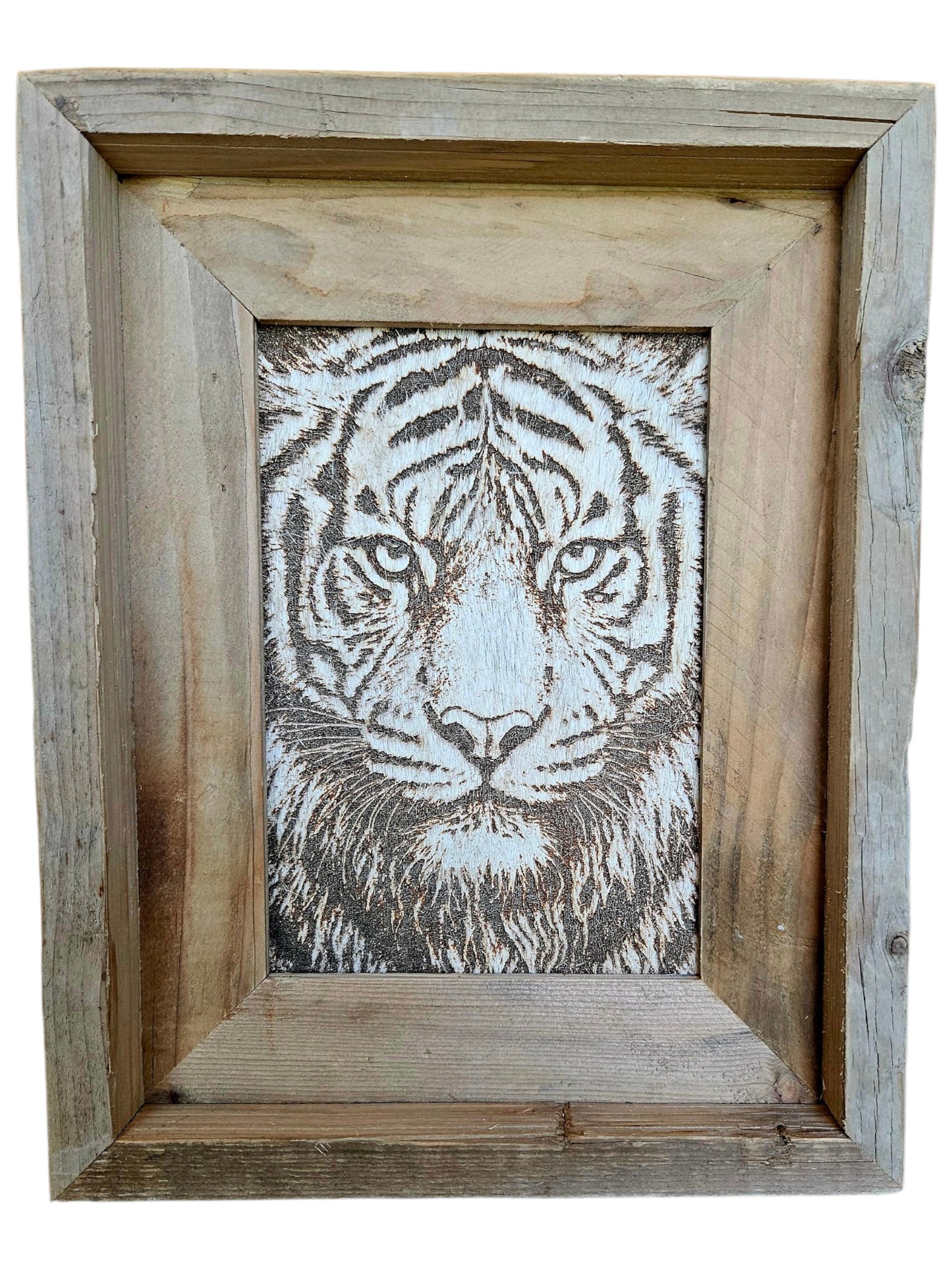 Eyes of the Tiger 5"x 7" #563