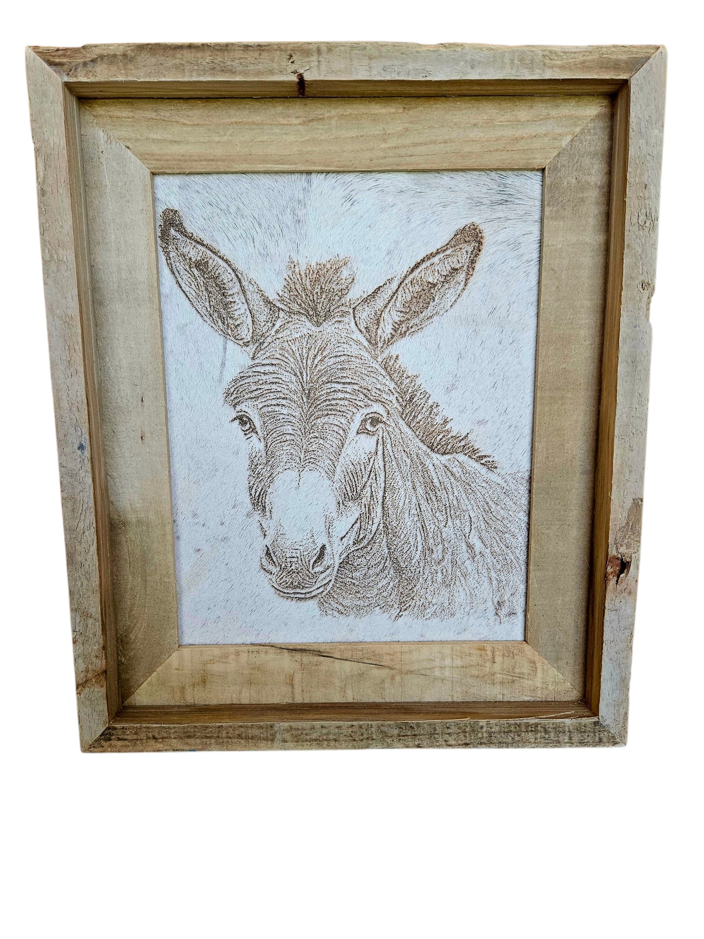 Donkey Picture 11"x 14" #552