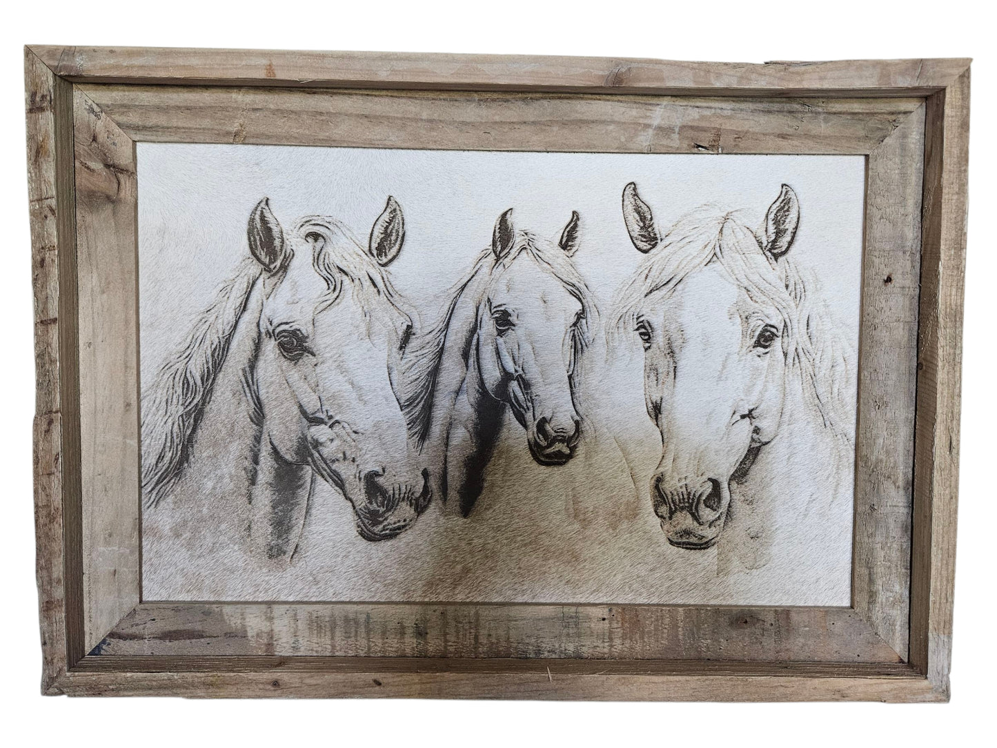 Horse family 20" x 14" #568
