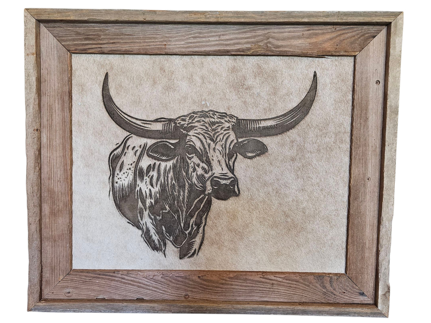 Texas Longhorn 24" x 21" #570