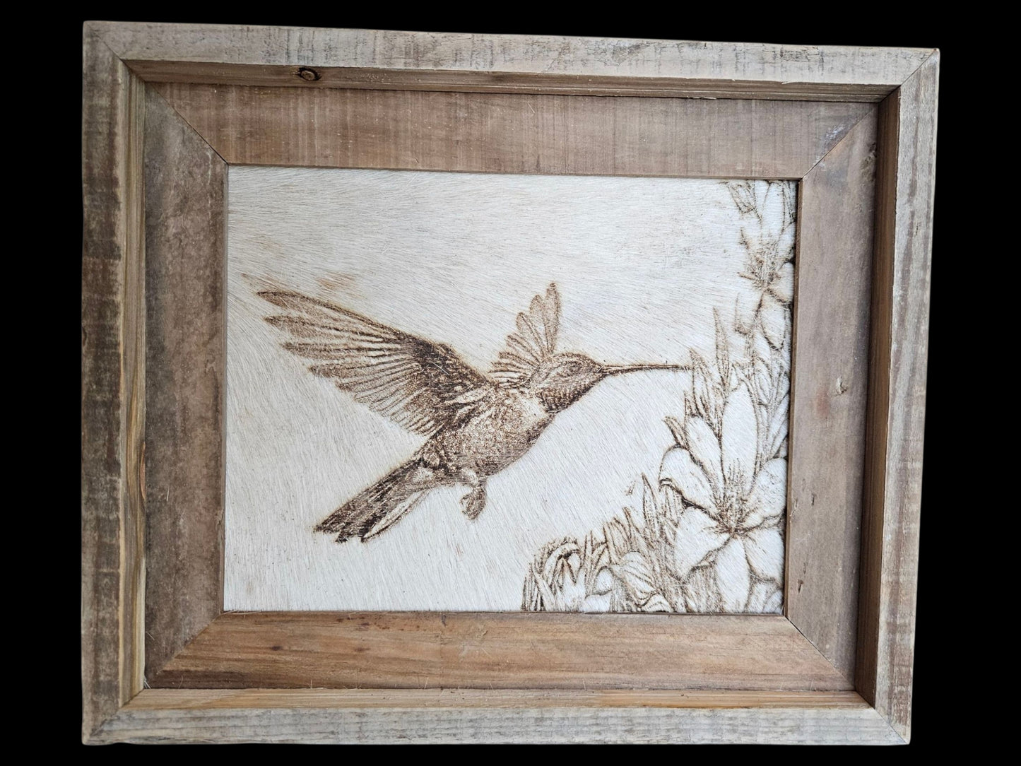 Humming Bird #675