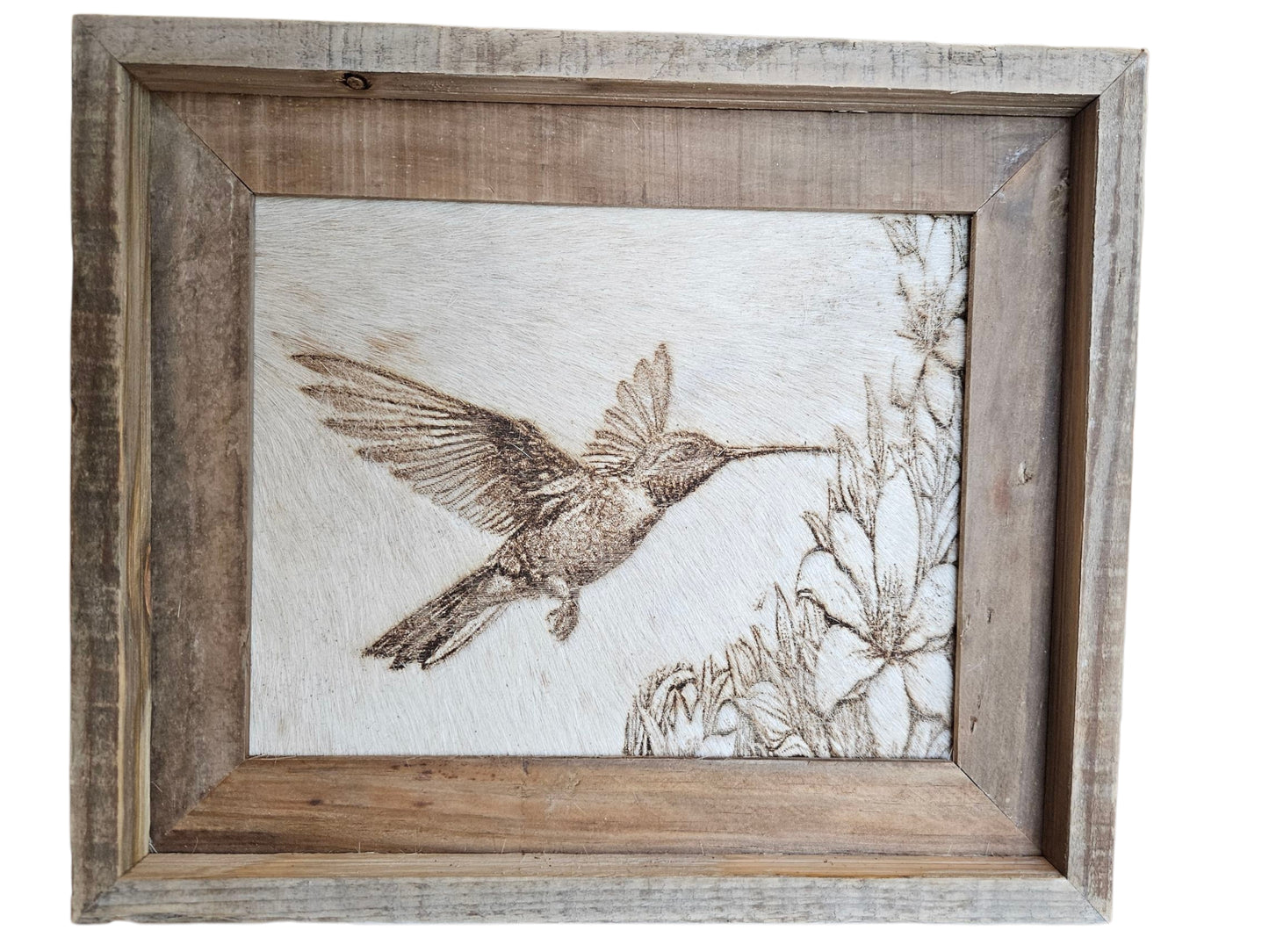 Humming Bird #675