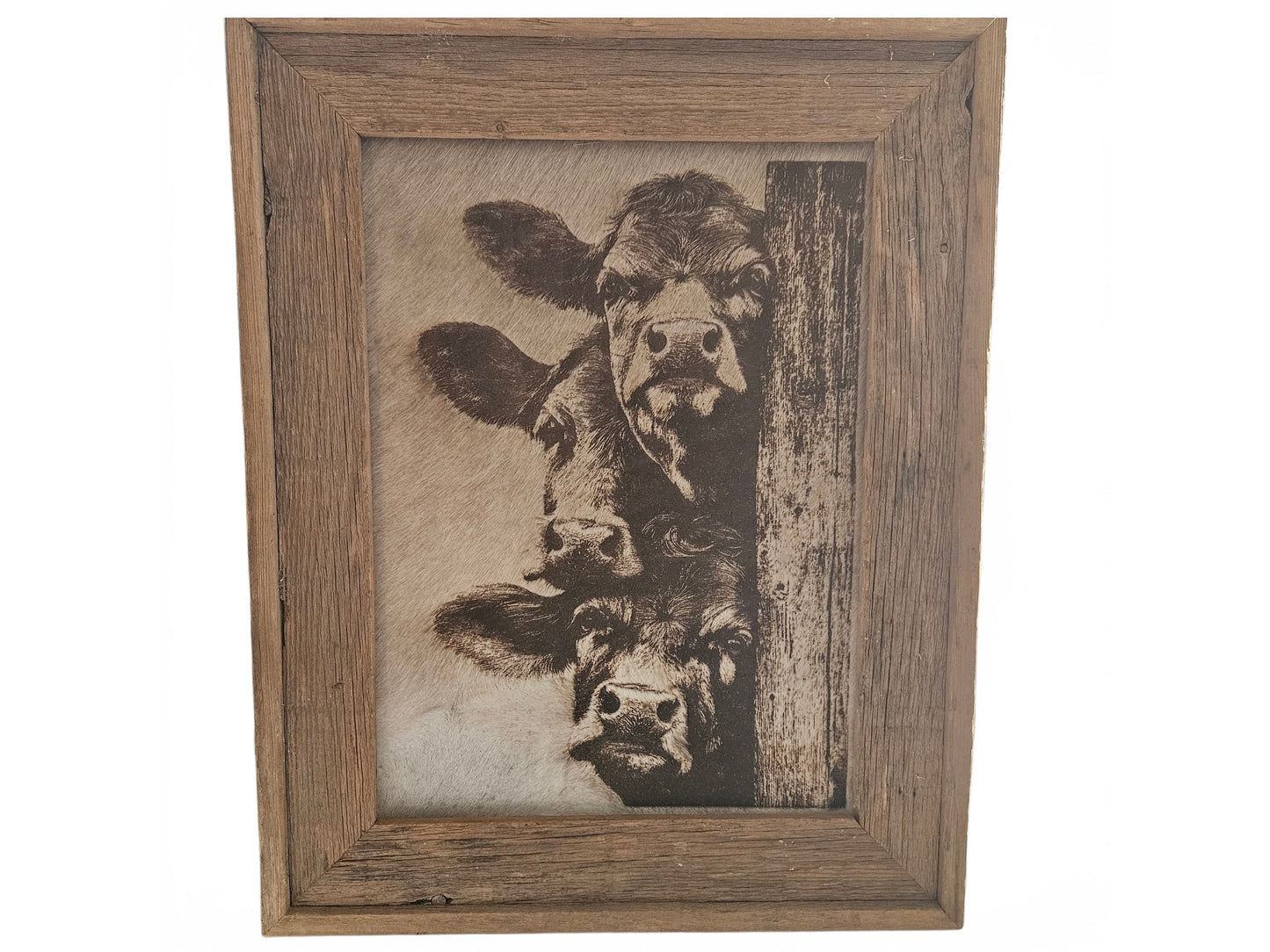 The Curious Trio 17"x22" #791