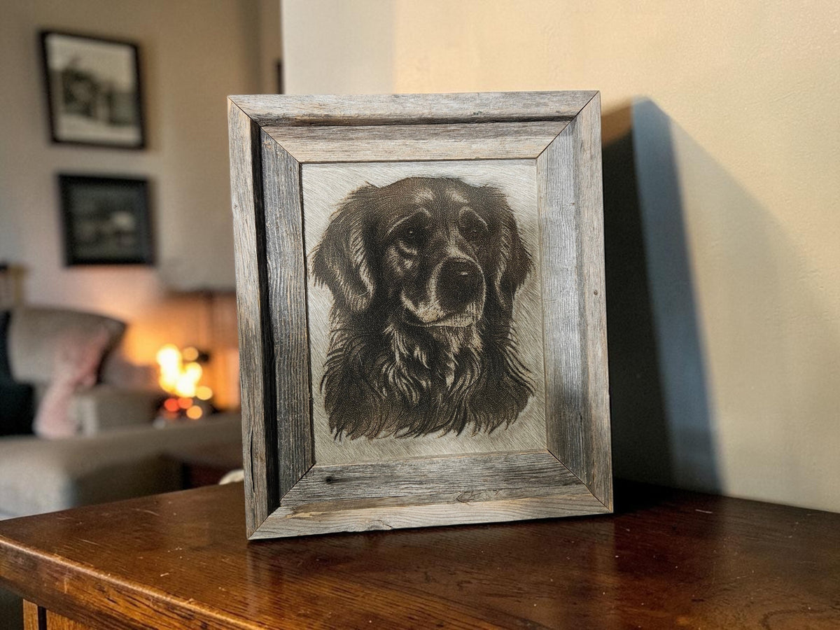 Golden Retriever #837