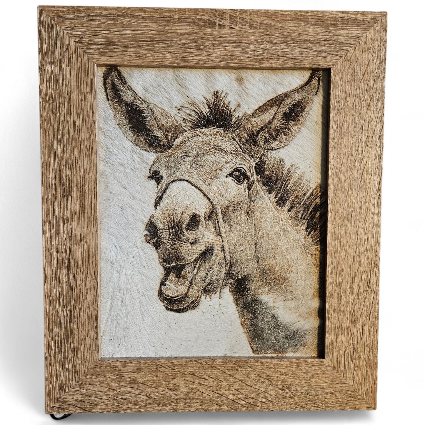 Laughing Donkey - 13"x11" #708