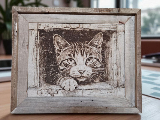 Peekaboo Kitty 16"x 13" #558