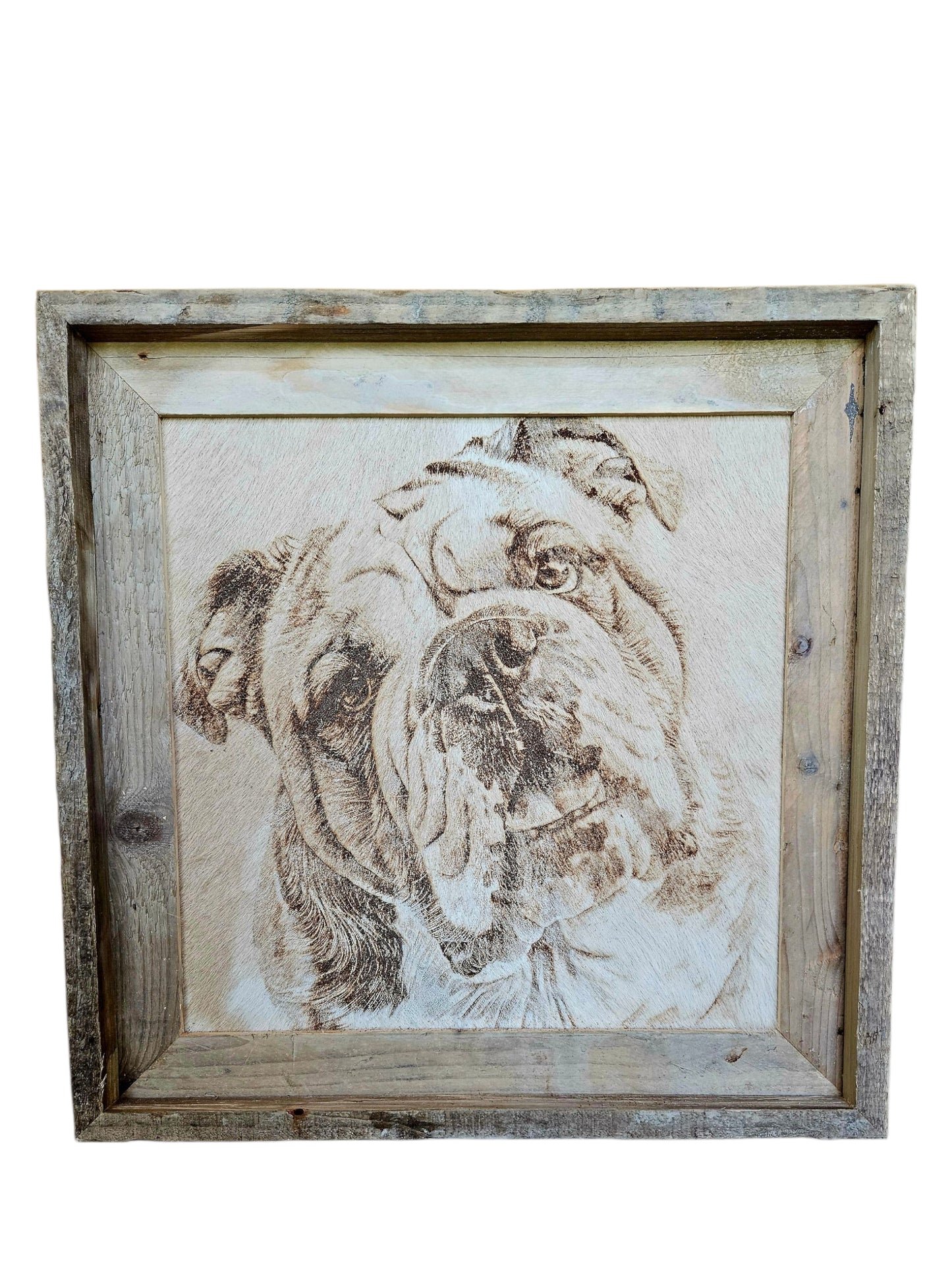 Bulldog Cowhide 15"x 15" #551