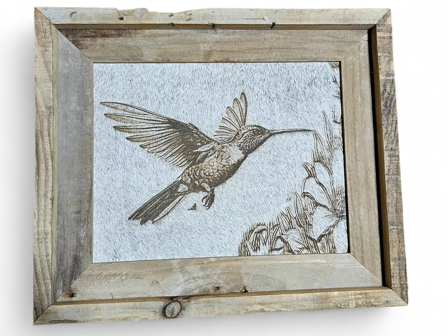 Hummingbird in mid-flight  #733