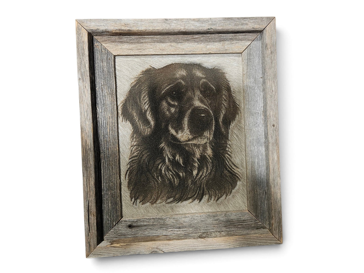 Golden Retriever #837