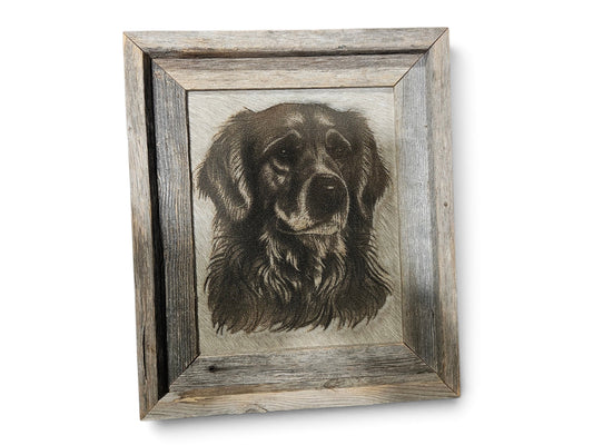 Golden Retriever #837