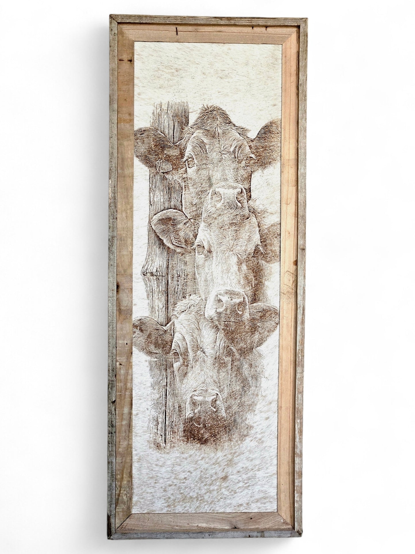Peeking Cows 12" x 36" #707